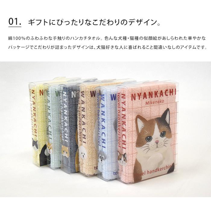 にゃんかち わんかち 綿100% ハンカチタオル ハンカチ ハンドタオル