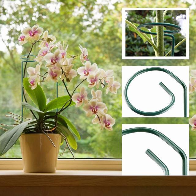 支柱　エディブルフラワー　飾り葉 植物支柱 花支え 園芸支柱 つる性植物 観葉支柱 誘引 40cm/45cm/60cm