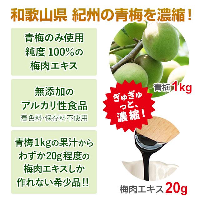 花梅の里 式古製 梅エキス（90g）田上元商店 和歌山産 青梅100％ 梅肉エキス｜送料無料(沖縄・離島除く) ※2個〜全国送料無料 | ブランド登録なし | 01