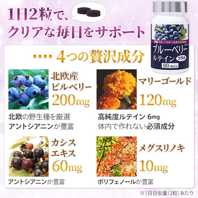 ラメール ブルーベリールテインプラス (60粒) 目 アイケア 北欧産ビルベリーエキス｜全国送料無料 |  | 01