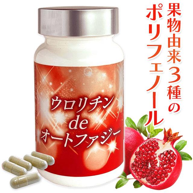 ウロリチンdeオートファジー（290mg×90粒）エラグ酸 ポリフェノール ザクロ｜全国送料無料 | ブランド登録なし