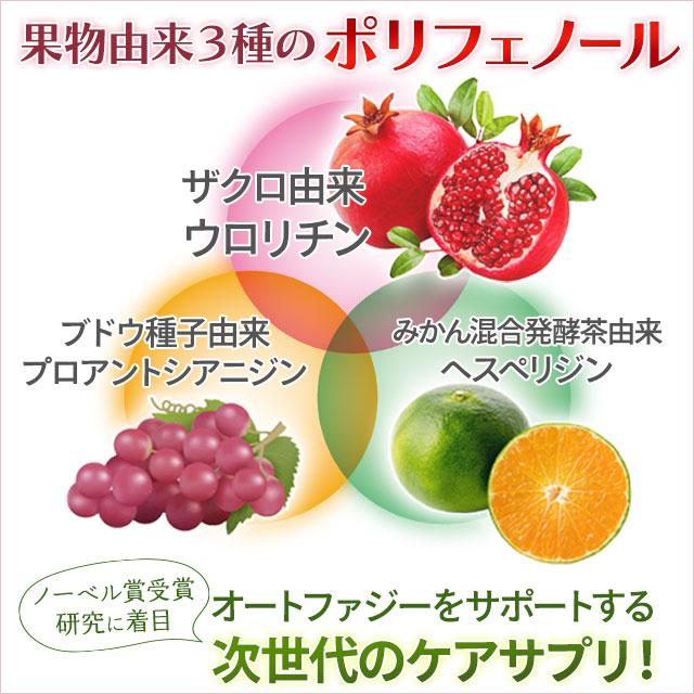 ウロリチンdeオートファジー（290mg×90粒）エラグ酸 ポリフェノール ザクロ｜全国送料無料 | ブランド登録なし | 01