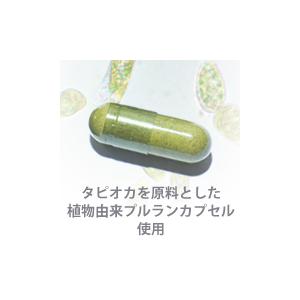 ユーグレナ ミドリムシエメラルド（120粒）｜全国送料無料
