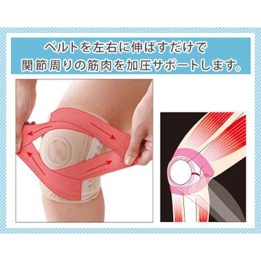 ドリーム - らくらく海水浴場ひざ愛読者 Ｓ・Ｍ（2枚仕かける）膝用愛読者｜貨物輸送無料(鳴らす郵便受け送りとどける)、代引不可