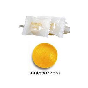 日本プロポリス プロポリスキャンディー グランジ（80粒）2個セット｜全国送料無料｜クリッ クポスト2個口発送(ポスト投函)、代引不可 | ブランド登録なし | 01