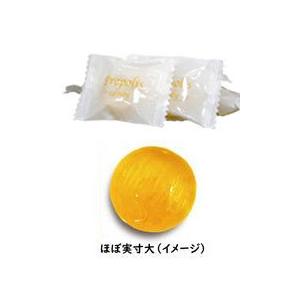 日本プロポリス プロポリスキャンディー グランジ（80粒）3個セット｜全国送料無料｜レターパック発送｜代引不可 | ブランド登録なし | 01