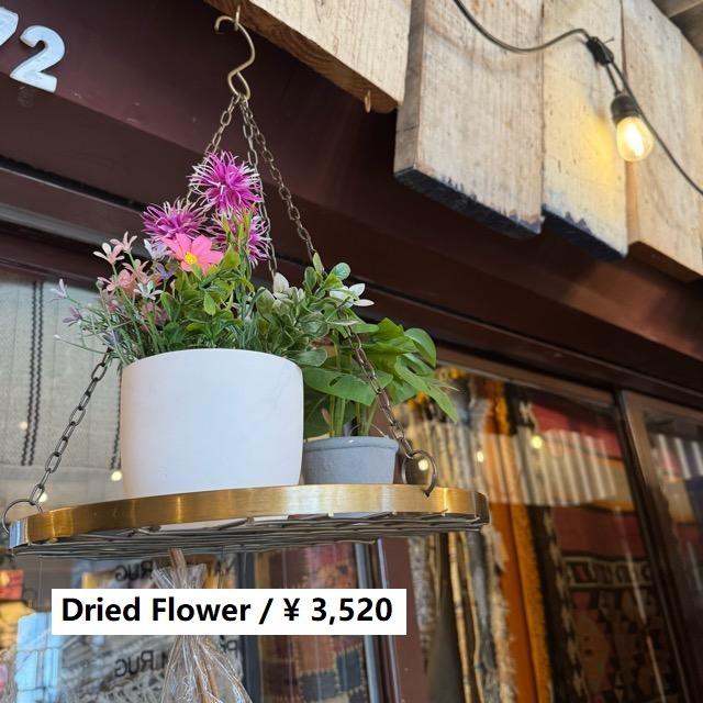 アイアン ハンギングハンガーラウンド　アンティークゴールド　ハンドメイド　手作り　庭　ガーデン　ガーデニング　植物　ドライフラワー | 