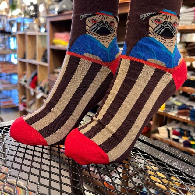 TOPANGA SOCKS Lady's　ボーダードッグソックス｜abracadabra｜04