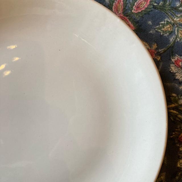 インド SAMRAT 白い丸皿 26cm 平皿 大皿 ディナープレート 和食 洋食