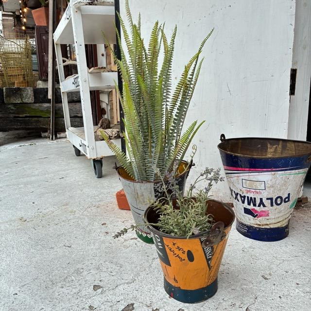 インド　リサイクルアイアンバスケット　M　RECYCLED BUCKET　アイアン製バケツ　ガーデニング　ゴミ箱　鉢カバー　アソート　プランターカバー　 |  | 07