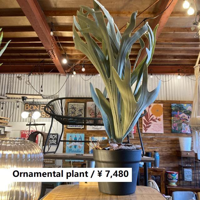 フェイクグリーン　コウモリラン　観葉植物　新築祝い　開店祝い　リビング　玄関　プレゼント　ギフト　贈り物 | 