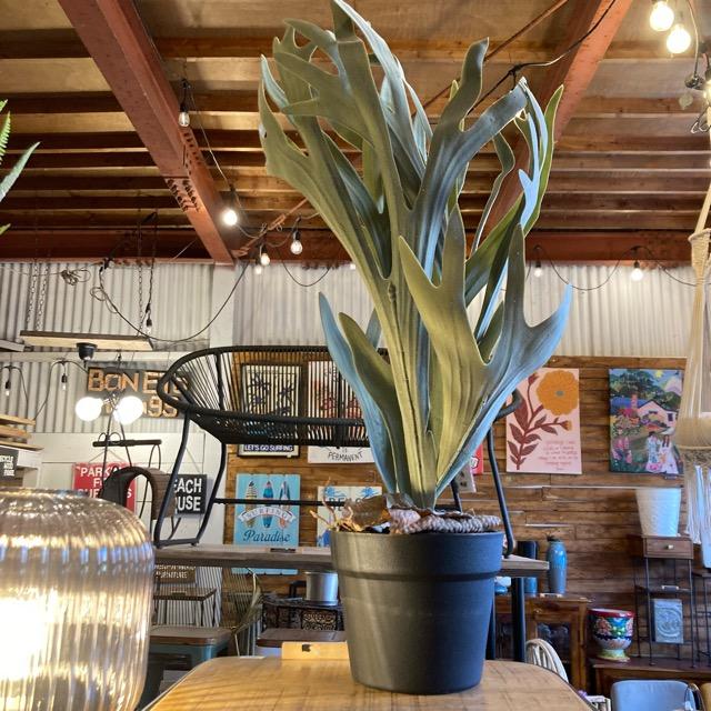 フェイクグリーン　コウモリラン　観葉植物　新築祝い　開店祝い　リビング　玄関　プレゼント　ギフト　贈り物 |  | 06