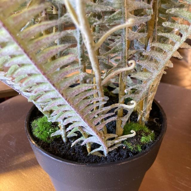 フェイクグリーン　ボストンファーン　観葉植物　新築祝い　開店祝い　リビング　玄関　プレゼント　ギフト　贈り物 |  | 03