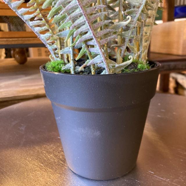 フェイクグリーン　ボストンファーン　観葉植物　新築祝い　開店祝い　リビング　玄関　プレゼント　ギフト　贈り物 |  | 04