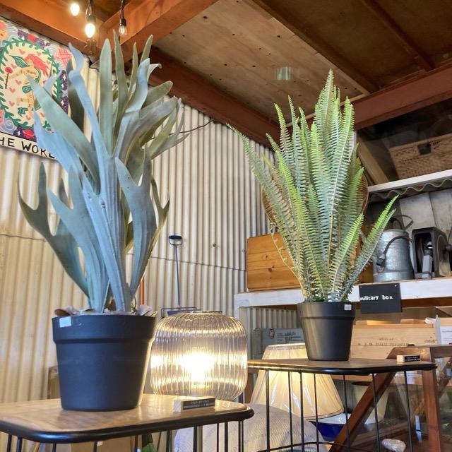 フェイクグリーン　ボストンファーン　観葉植物　新築祝い　開店祝い　リビング　玄関　プレゼント　ギフト　贈り物 |  | 05