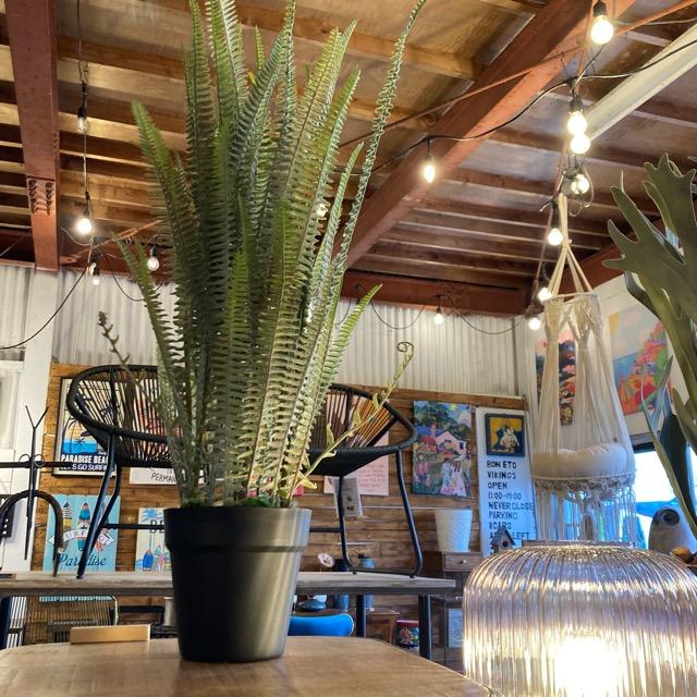 フェイクグリーン　ボストンファーン　観葉植物　新築祝い　開店祝い　リビング　玄関　プレゼント　ギフト　贈り物 |  | 06