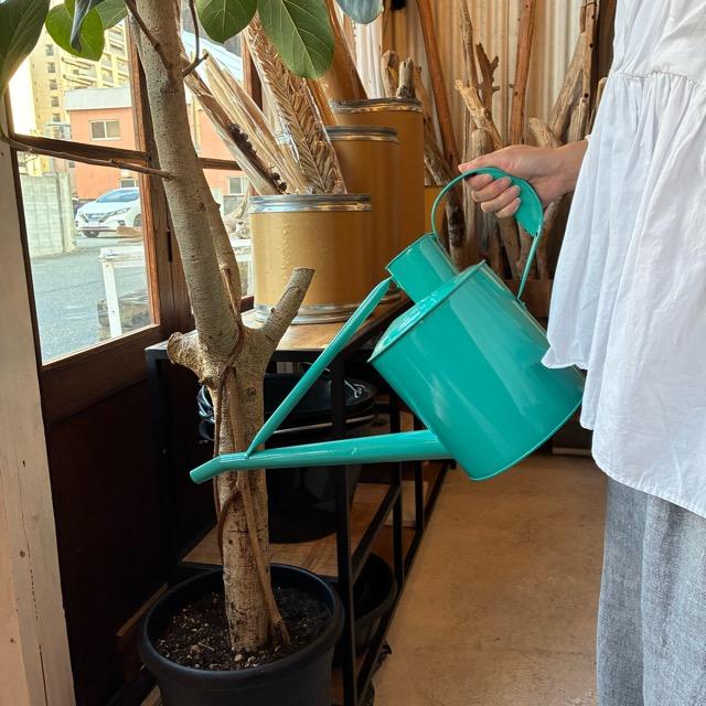 Earth Color Watering Can　Green |  | 06