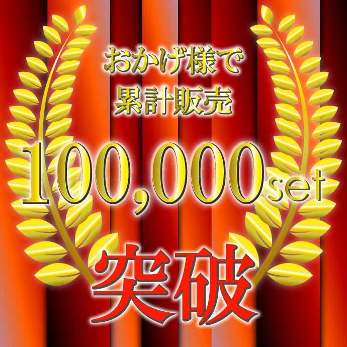 D2C/D2S/D2R HIDバルブ 純正交換用HID D2バルブ2本入 35WHID D2 3000K/4300K/6000K/8000K/10000K/12000K HID D2バーナー | ブランド登録なし | 07