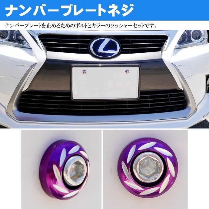2本セットアルミ2個口のナンバー２ ナンバープレートボルト ネジ カラーワッシャー 紫2個 ビス M6 P1.0