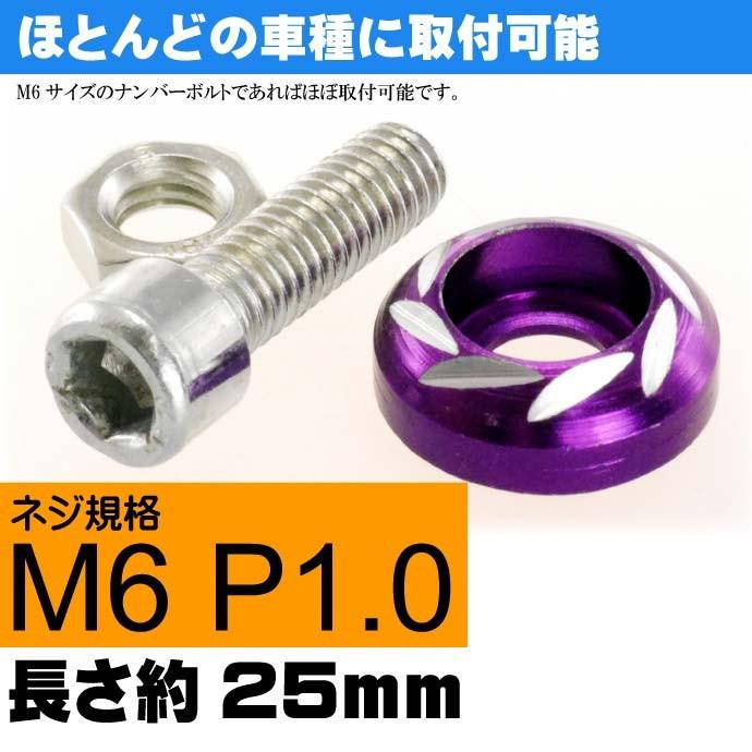 ナンバープレートボルト ネジ カラーワッシャー 紫2個 ビス M6 P1 0 フロント部の雰囲気が変わる As1757 Ase 1802 1757 Avail 通販 Yahoo ショッピング