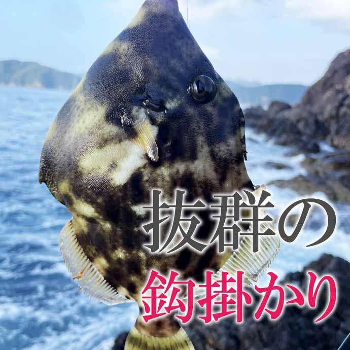 Gamakatsu（がまかつ） ハゲ鈎 カワハギ鈎 釣り針 4号 5号 6号 7号 8号
