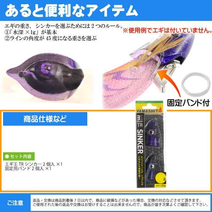 エギ王 TRシンカー 40g PU パープル エギ後付けオモリ 2個入 YAMASHITA