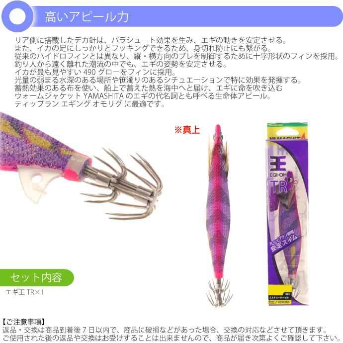エギ王 TR 3.5号 27g 061 ミステリーパープル 長100mm ラメ布