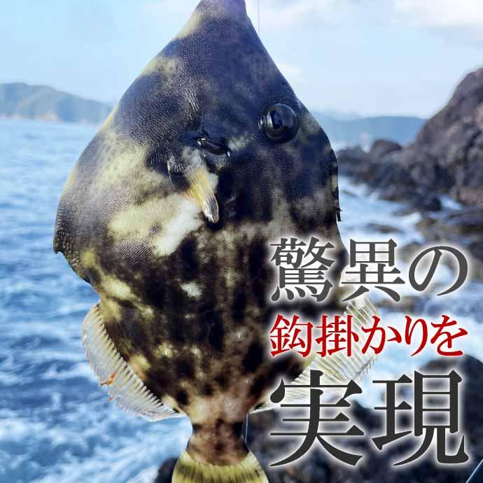 釣り　がまかつ　荷掛け　GAMAKATSU 希少　レア Gamakatsu（がまかつ） カワハギ王 太軸カワハギ鈎 釣り針 5号 18本入