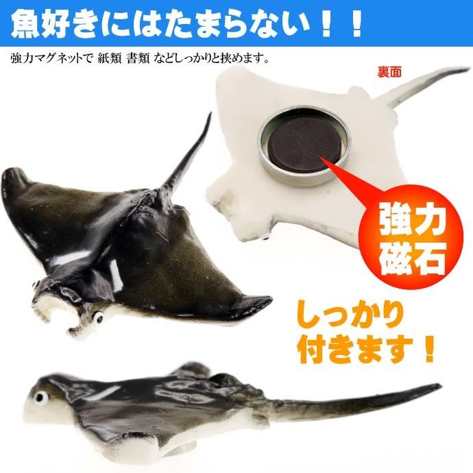 マンタ おもしろマグネット 食品サンプル風 店舗 事務所 色々