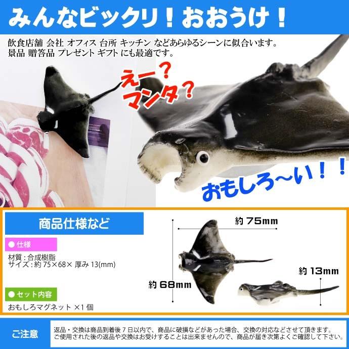 マンタ おもしろマグネット 食品サンプル風 店舗 事務所 色々