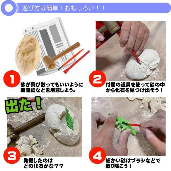 発掘！恐竜化石 No.206-631 株式会社ファースト・アロー