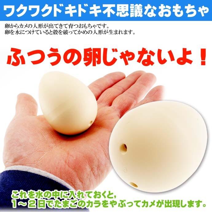 送料無料 びっくりたまご カメ 卵から生まれて大きくなる人形 育てている感が出て毎日楽しく眺めれるおもちゃ Ms6 Ms Avail 通販 Yahoo ショッピング