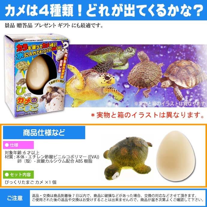 びっくりたまご カメ 卵から生まれて大きくなる人形 育てている感が出て毎日楽しく眺めれるおもちゃ Ms6 Ms Avail 通販 Yahoo ショッピング