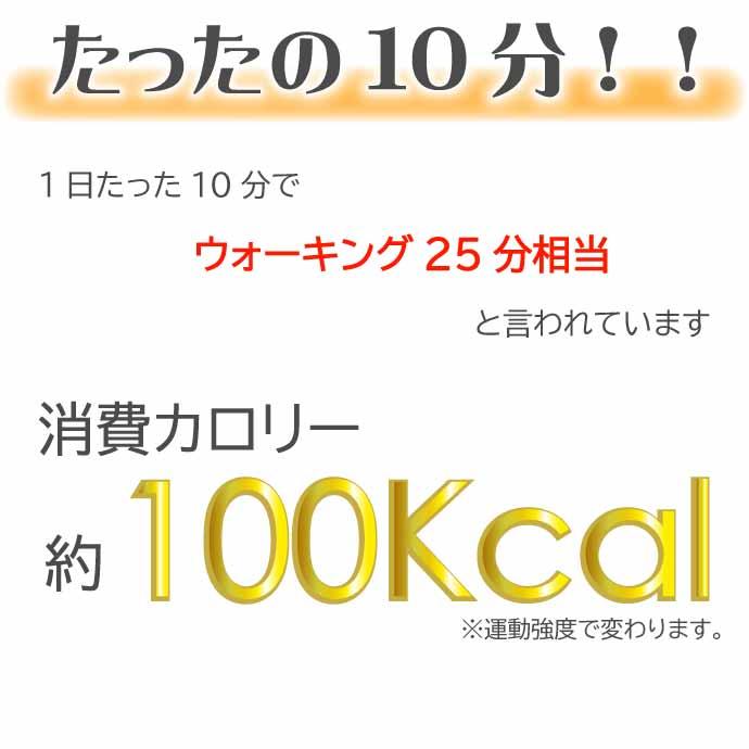 フラフープ エクササイズ ダイエット 大人用 運動器具 体感トレーニング 組立式 9本繋ぎ サイズ調整 運動 スポーツ｜absolute｜07