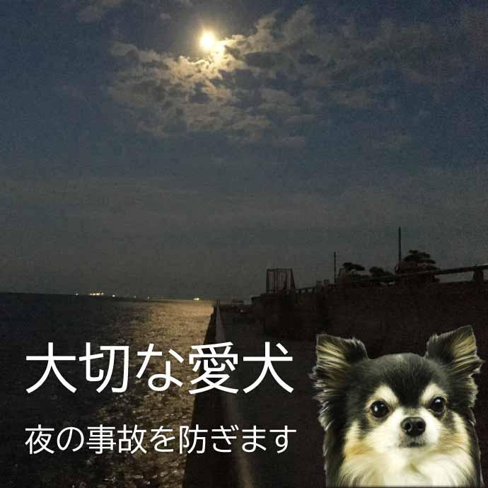 お散歩LEDライト 充電式 首輪用 防犯ライト レッド 光るLED首輪 お散歩LEDライト 充電式 首輪用 防犯ライト レッド 光るLED首輪
