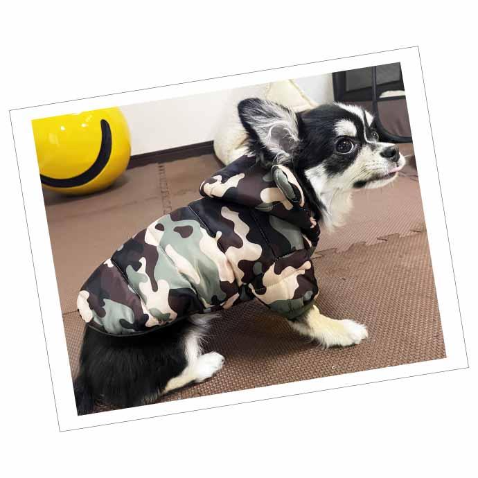 犬 服 ペット服 迷彩 フード付き M くま耳フード ペットウェア ドッグ