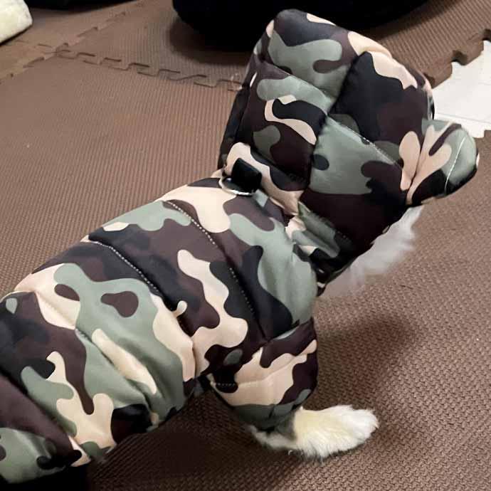 犬 服 ペット服 迷彩 フード付き M くま耳フード ペットウェア ドッグ
