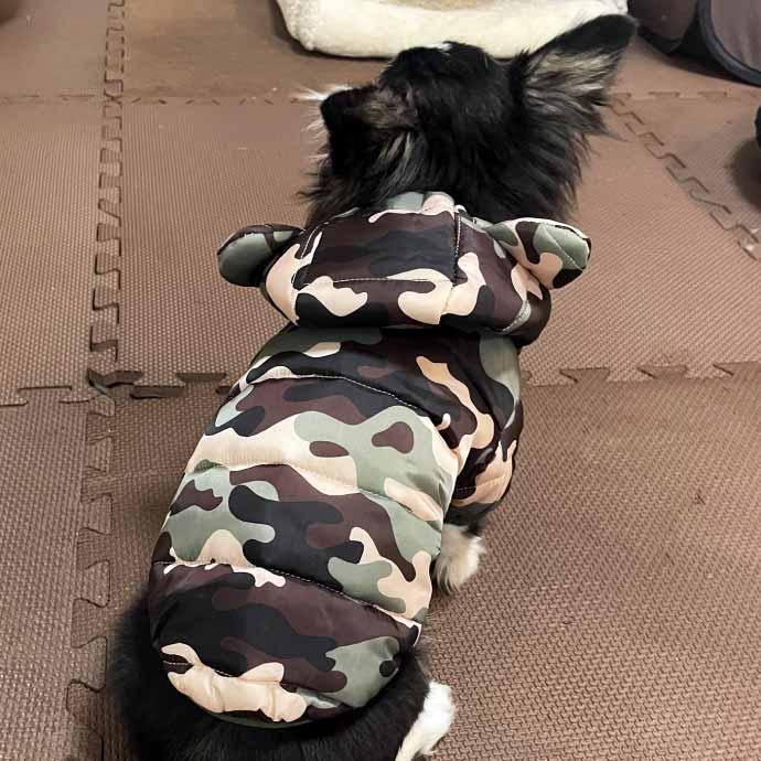 犬 服 ペット服 迷彩 フード付き M くま耳フード ペットウェア ドッグ
