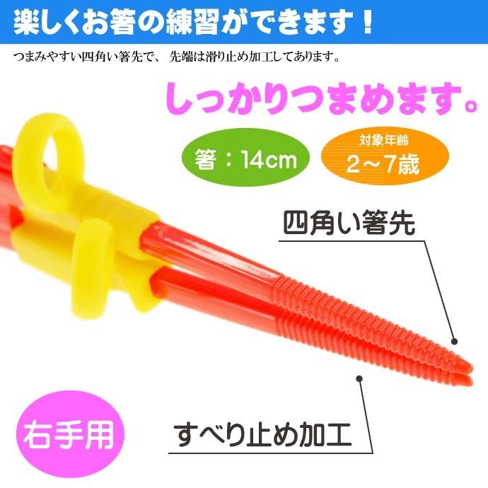 最新号掲載アイテム はらぺこあおむし トレーニング箸 ケース付 Adxt1s キャラクターグッズ お子様用お箸 持ち方の練習お箸 Sk4 Discoversvg Com
