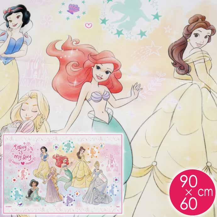 Disney（ディズニー） プリンセス 23 レジャーシート ござ 90×60cm VS1