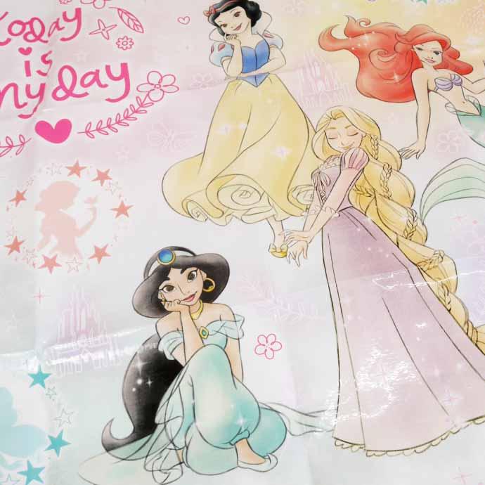 originalキャラクター/レギーナ・メルセデス高画質A4ポスター3枚セット レジャーシート S/1人用プリンセス24／VS1_4973307659928