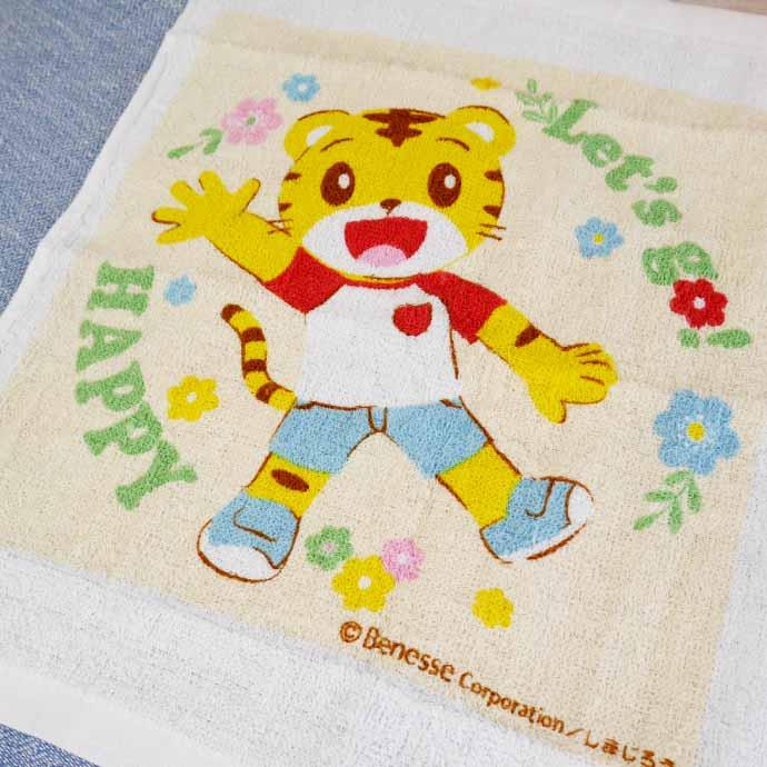 スケーター まいぜんシスターズ 23 抗菌 おしぼり タオル ケース付