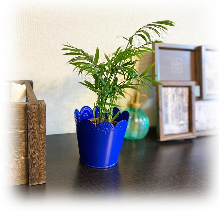 植木鉢 セラミックプランター 屋内植物用 フラワーポット 排水穴付き プランター ポット 植物用 家庭菜園装飾 (ブルー) 植木鉢 ブリキ製 スカラップ フラワー ポット (ブルー) Flower Pot プランター 植木鉢 小物入れ 観葉植物 おしゃれ インテリア カラフル  かわいい : Foothill Gardens - 通販 - Yahoo!ショッピング