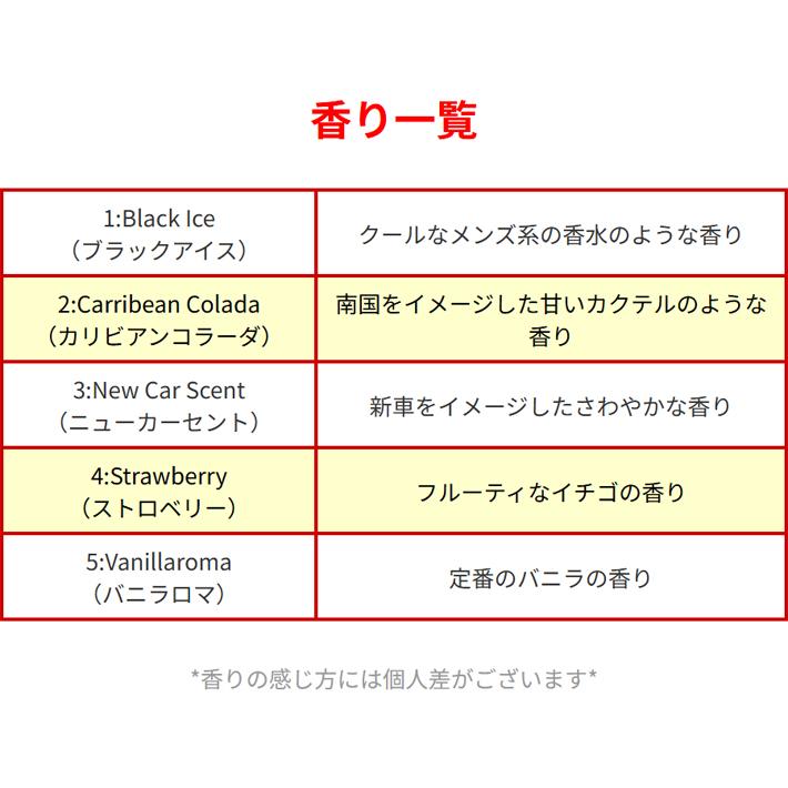 リトルツリー スプレー エアフレッシュナー (全5種) LittleTrees Spray 芳香剤 車 トラック 自動車 部屋 リビング 空間 フレグランス ミスト 吹きかけ 速攻 | Little Trees | 09