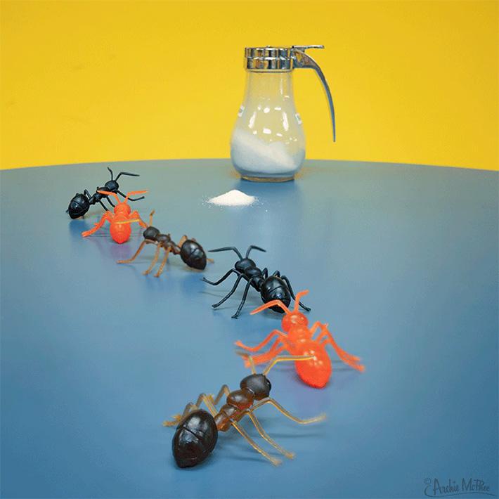 アリ フィギュア ANTS アンツ 蟻 ありんこ おもちゃ 面白 虫 昆虫 人形 