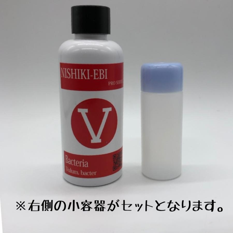 クリスタルレッドビーシュリンプの商品一覧 通販 Yahoo ショッピング