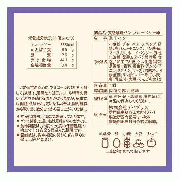 送料無料！』（地域限定）デイプラス 天然酵母パン ブルーベリー×12個