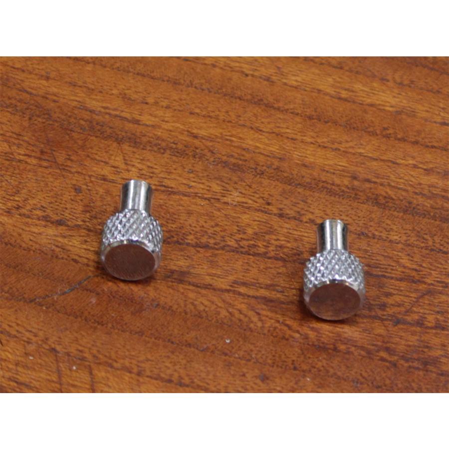 ABU 1500/2500/3500番台☆★サイドカップネジ 付属分★☆非純正★シルバー | Abu Garcia