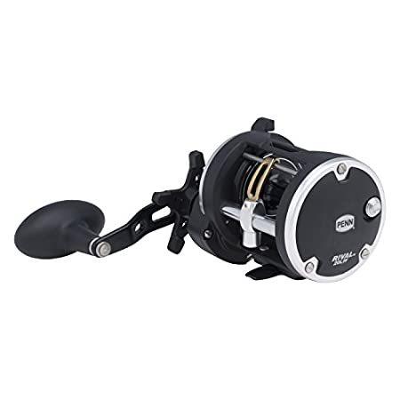 人気特価 Penn 5 1 1ギア比29インチ取得レートrivalレベル風conventional Clamパッケージリール 右手 スピニング リール Populationmalawi Org