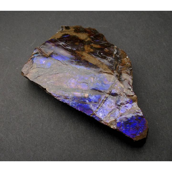 アンモライト（アンモナイト）50g カナダ産 七色の繁栄の石 幸運 財運 金運 成功 anmo195の画像